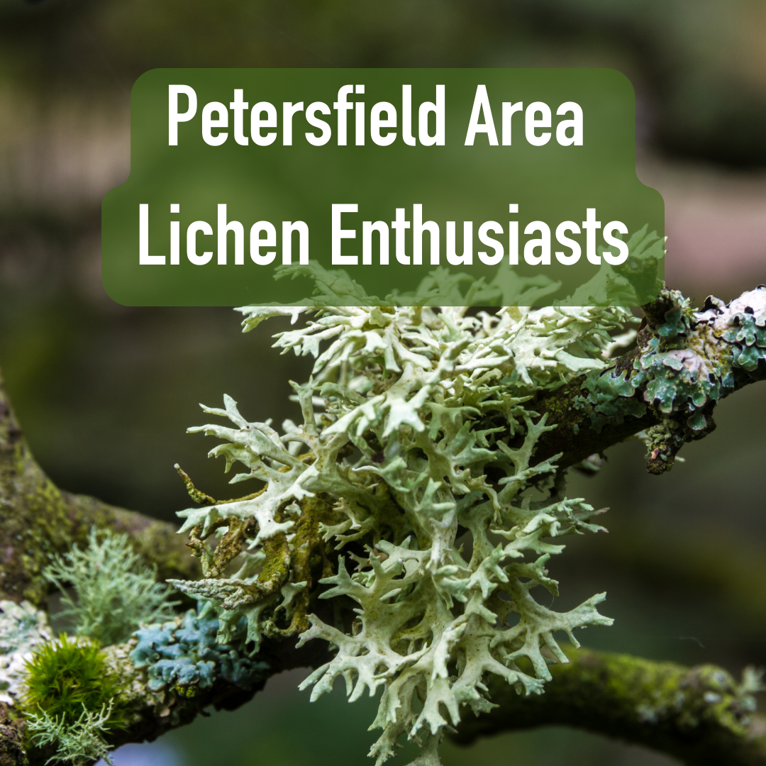 Petersfield Area Lichen Enthusiasts