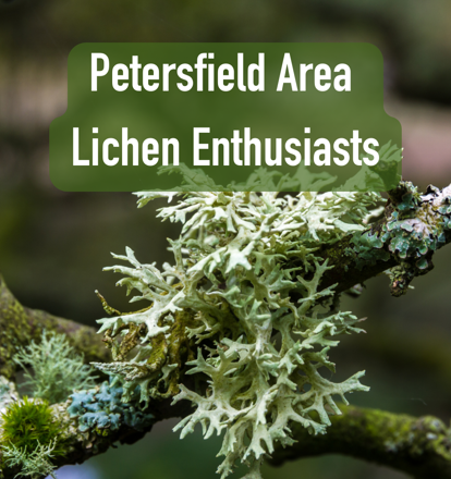 Petersfield Area Lichen Enthusiasts