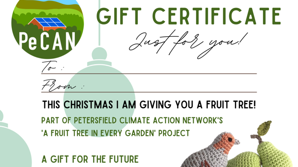 Gift Certificate 4
