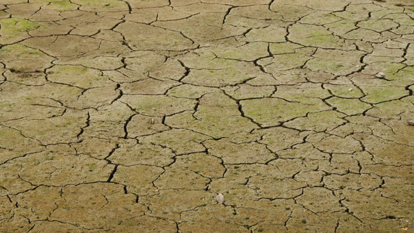 Green Business Images