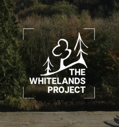 The Whitelands Project
