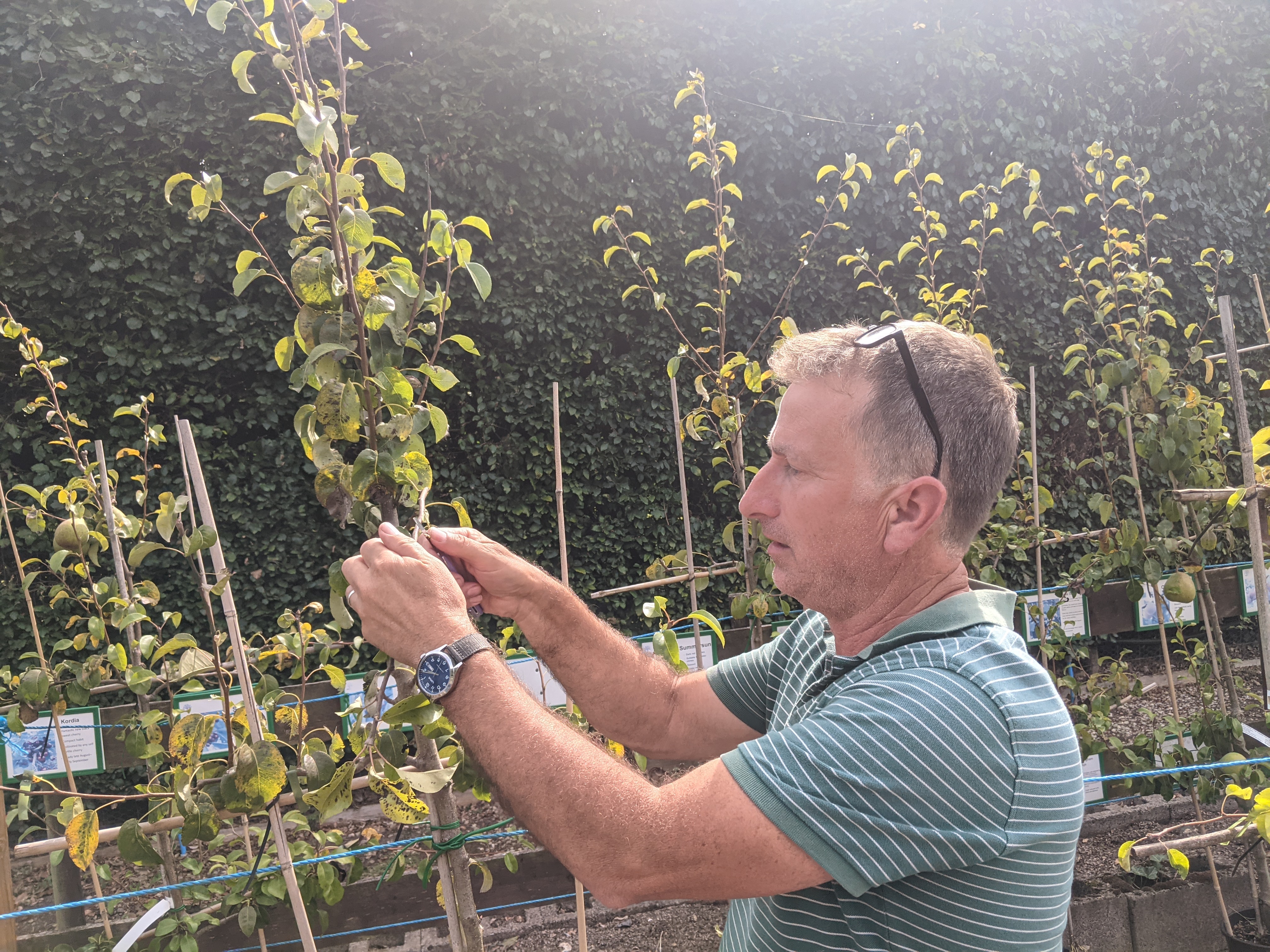 PXL 20230906 130941659