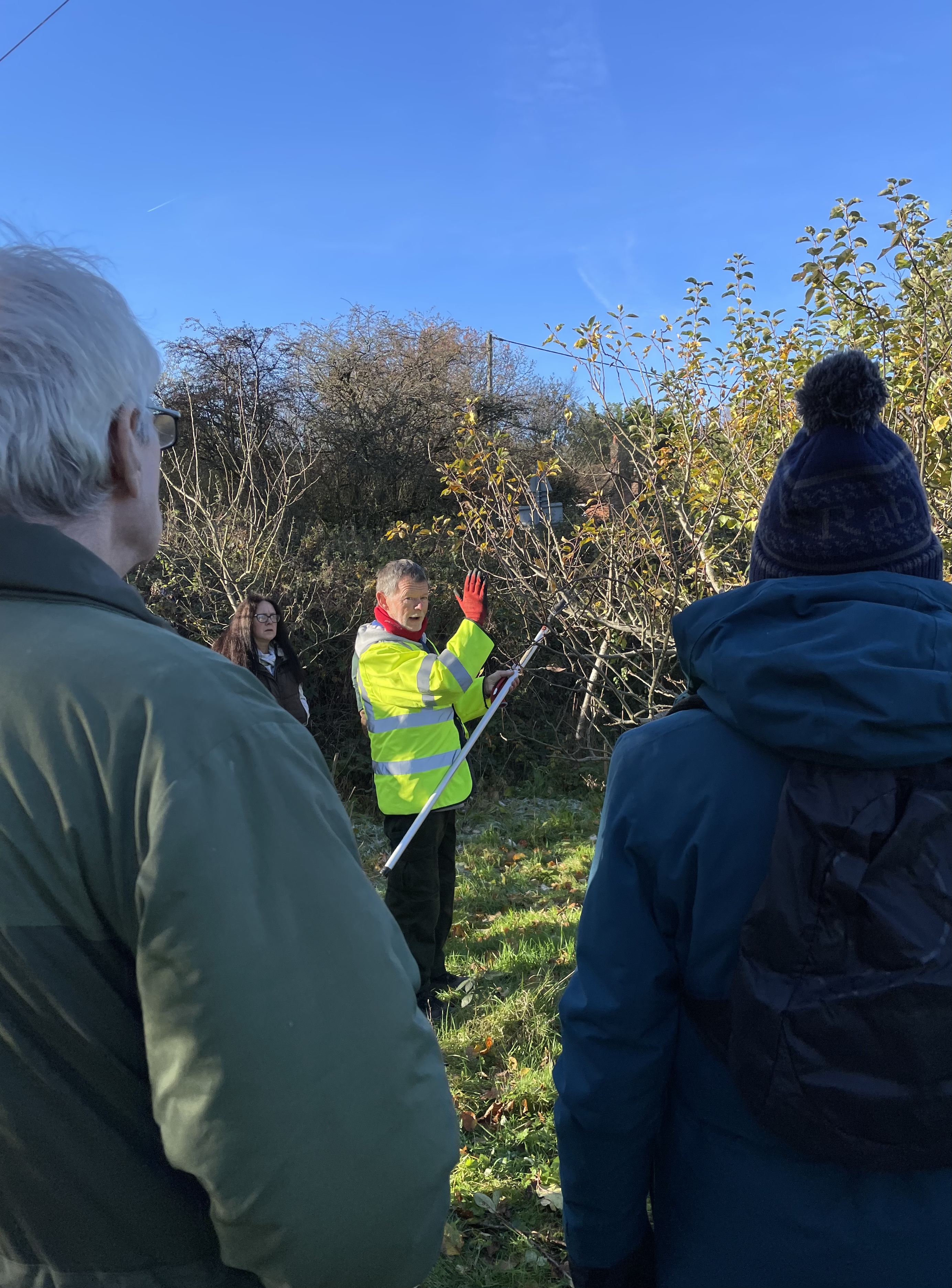 Demonstration of apple tree pruning