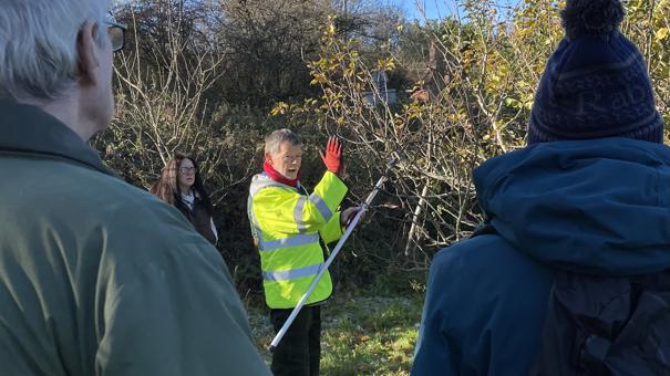 Demonstration of apple tree pruning