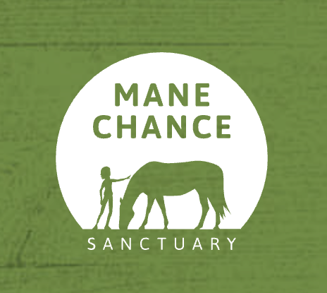 Mane Chance Sanctuary
