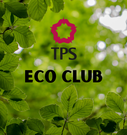 The Petersfield School Eco Club