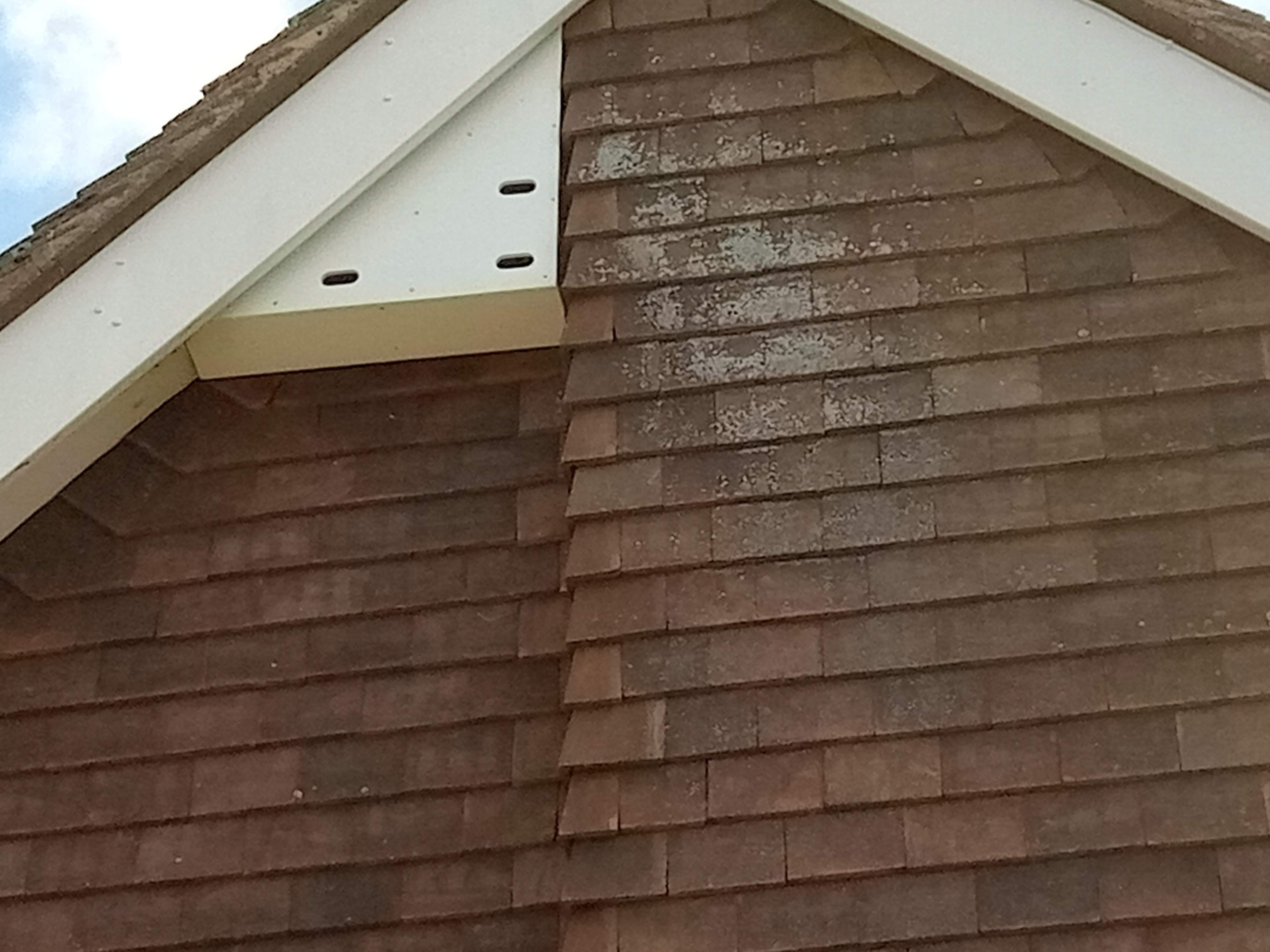 IMG 20230622 101504 537