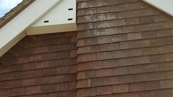 IMG 20230622 101504 537