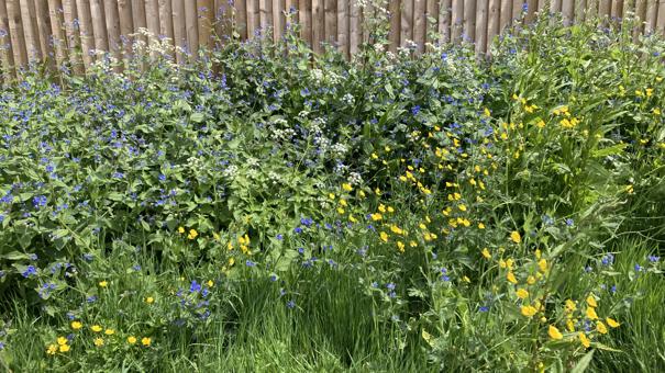 Waitrose CP Verge May22