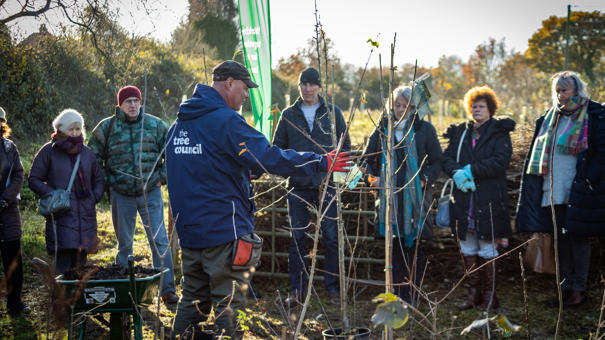 Tree Festival Demo 1 Tina Knowles Photography 3299