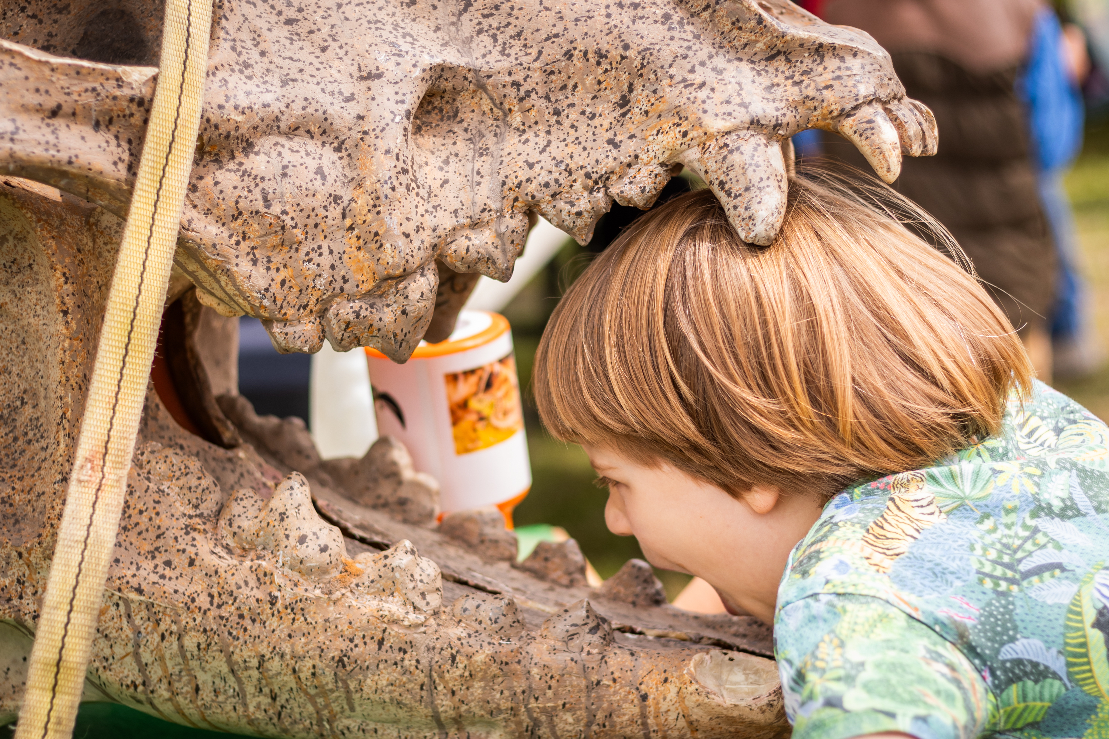 Eco Fair 2024 Tina Knowles Photography 4034