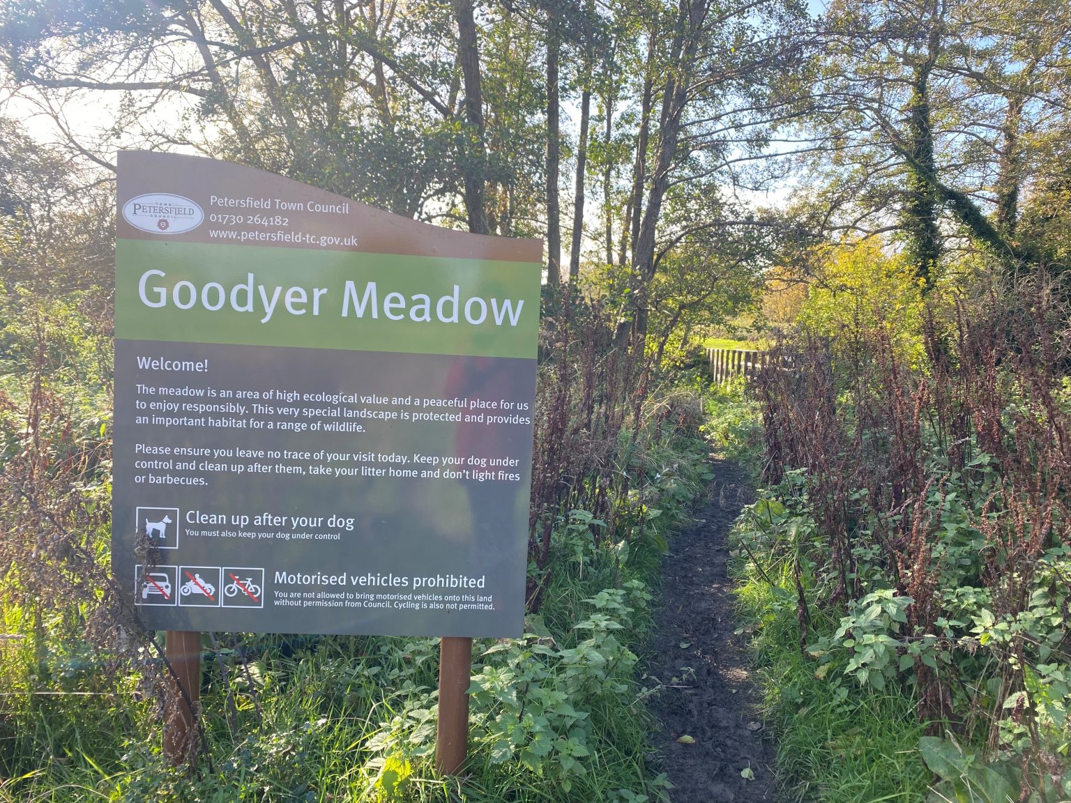 Goodyer5 1536X1152