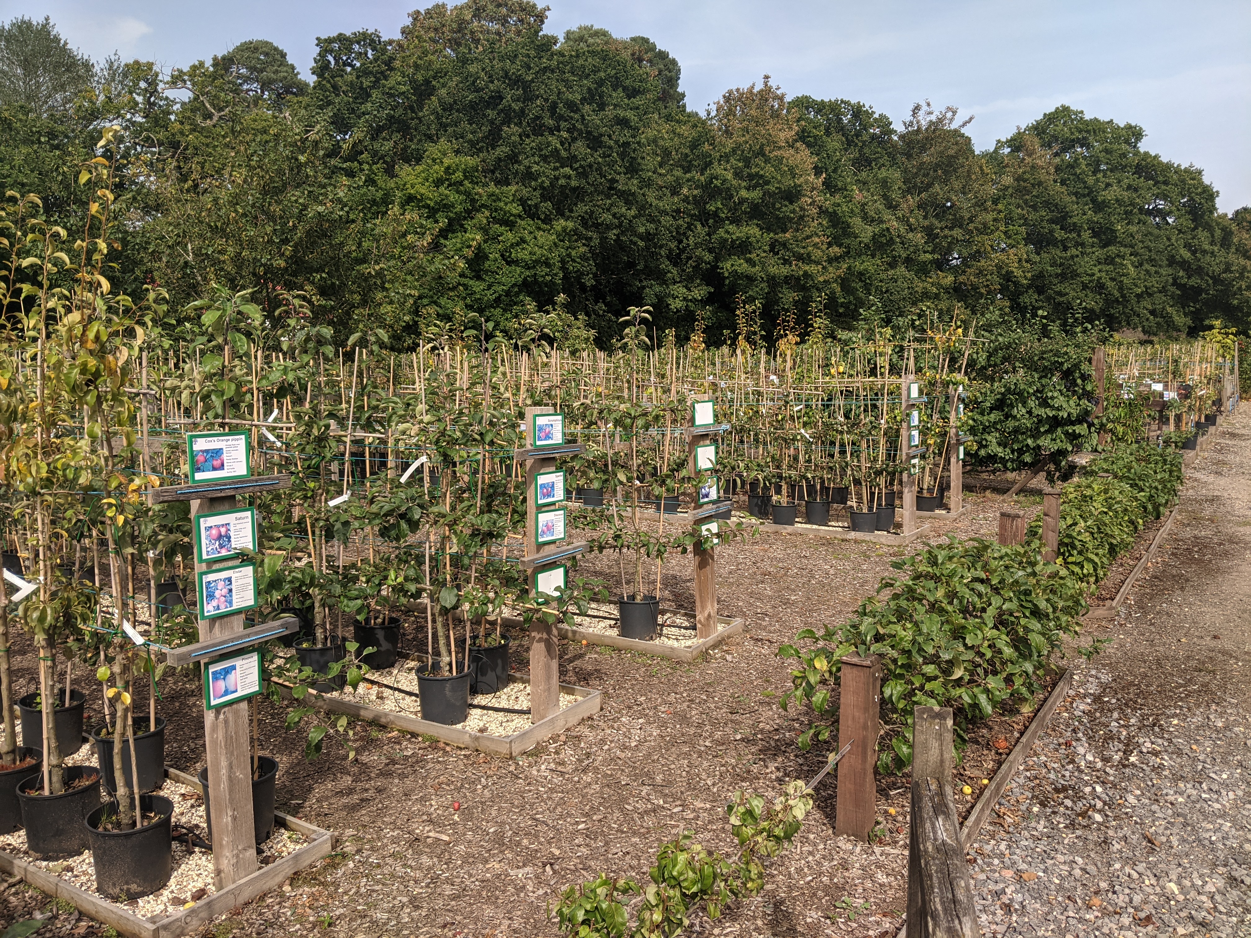 PXL 20230906 140343738