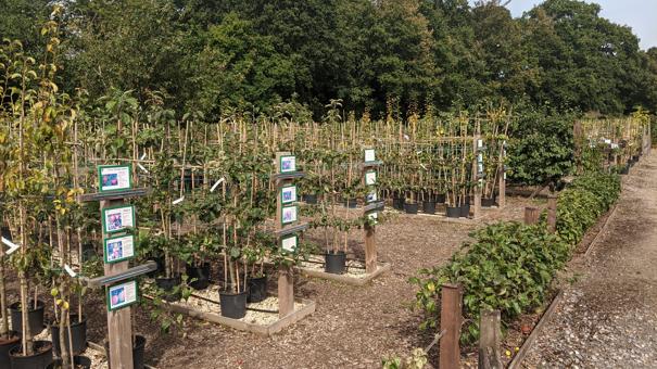 PXL 20230906 140343738