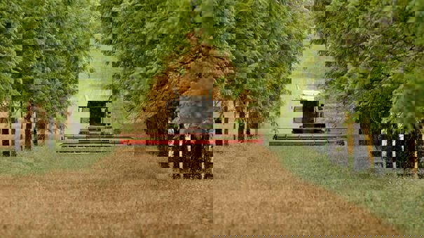 Like This Agroforestry 2 1