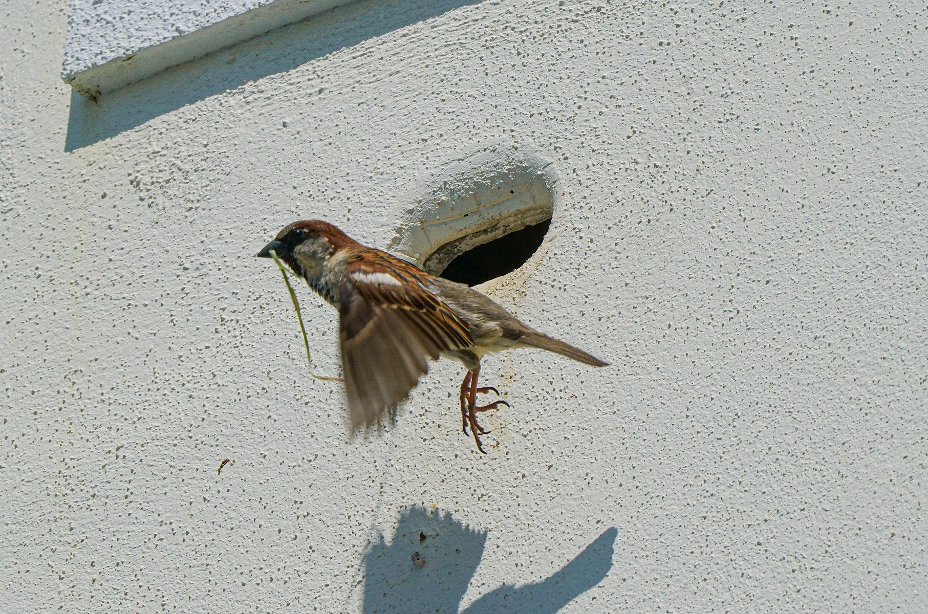 E556df 4291C74b87f449e291cf64bfa2af5657~Mv2