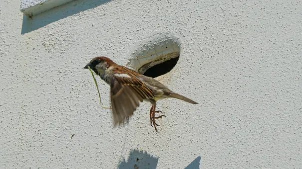 E556df 4291C74b87f449e291cf64bfa2af5657~Mv2