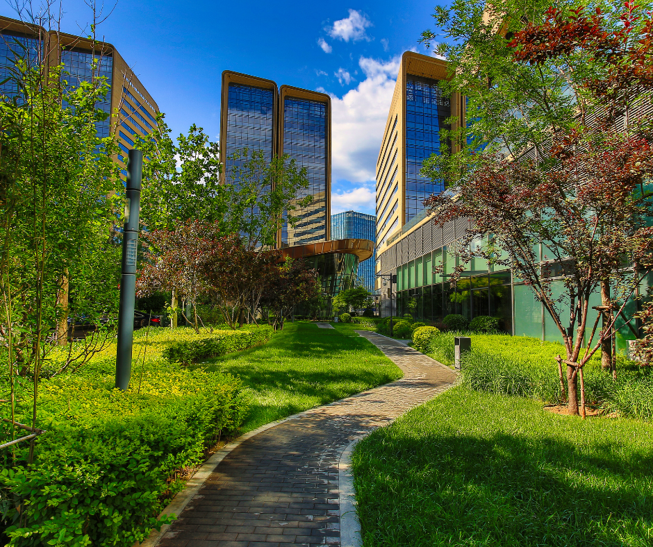 Why we must plant more trees in our towns