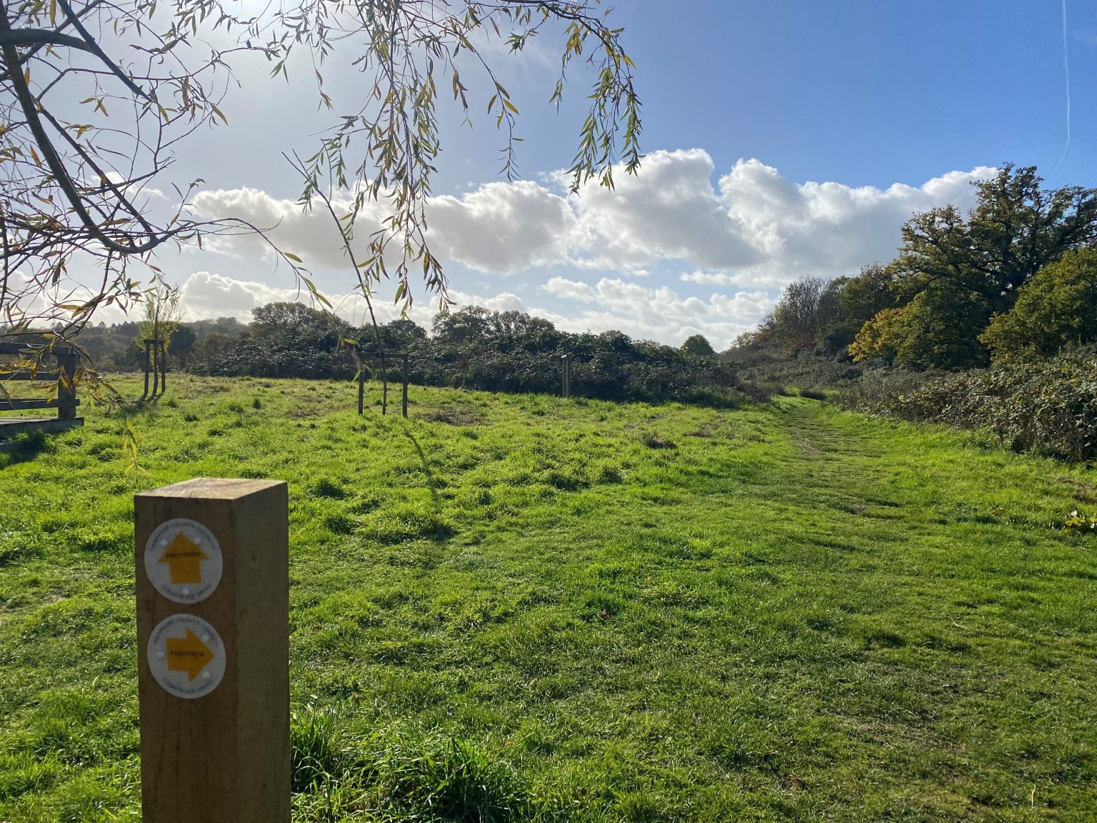 Find out more about local green space Goodyer Meadow