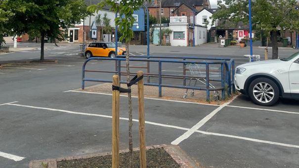 Image 6
