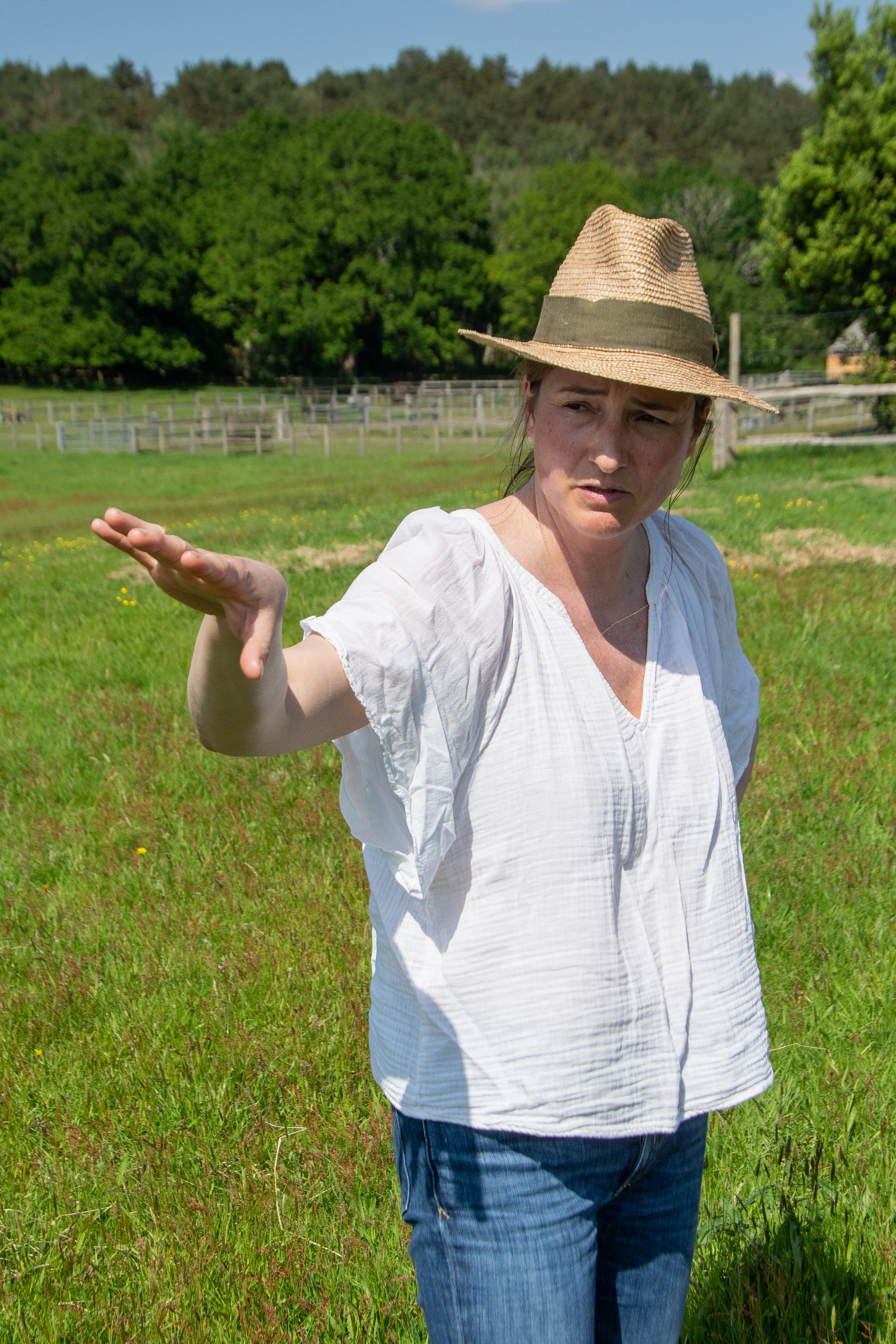 Hoyle Farm Pecan May 2024 2282