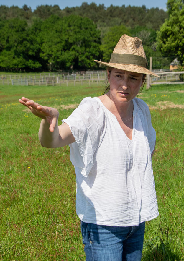 Hoyle Farm Pecan May 2024 2282