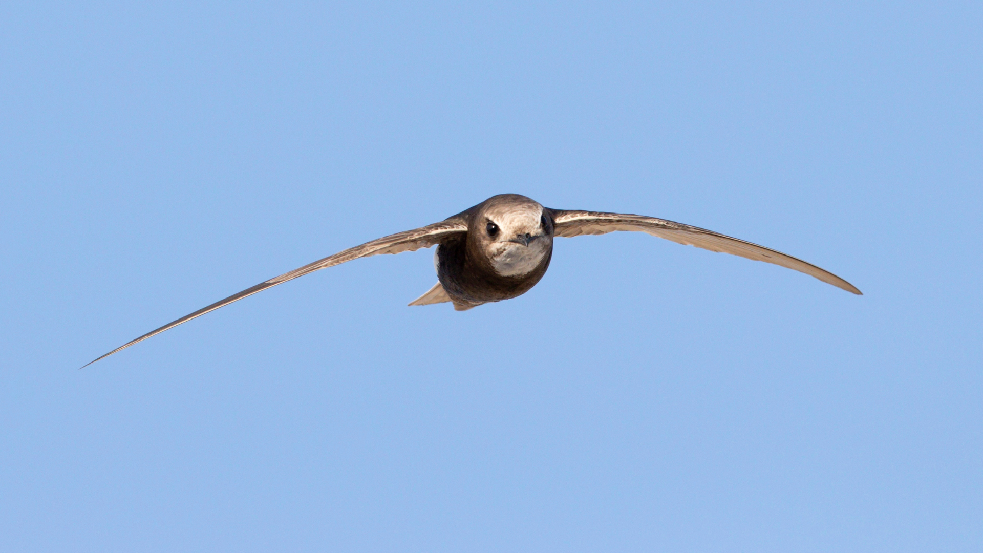 Images For Newsletter 55