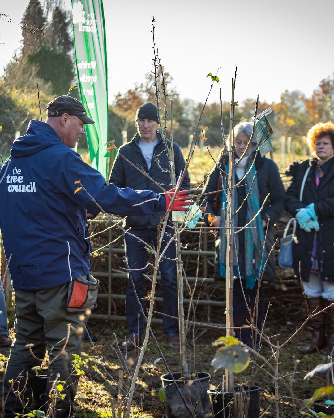 Phil Paulo Demonstrates How To Plant A Tree