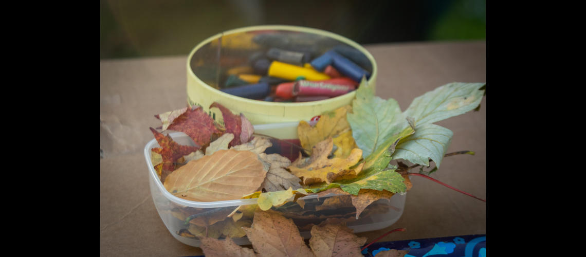 Petersfield tree festival