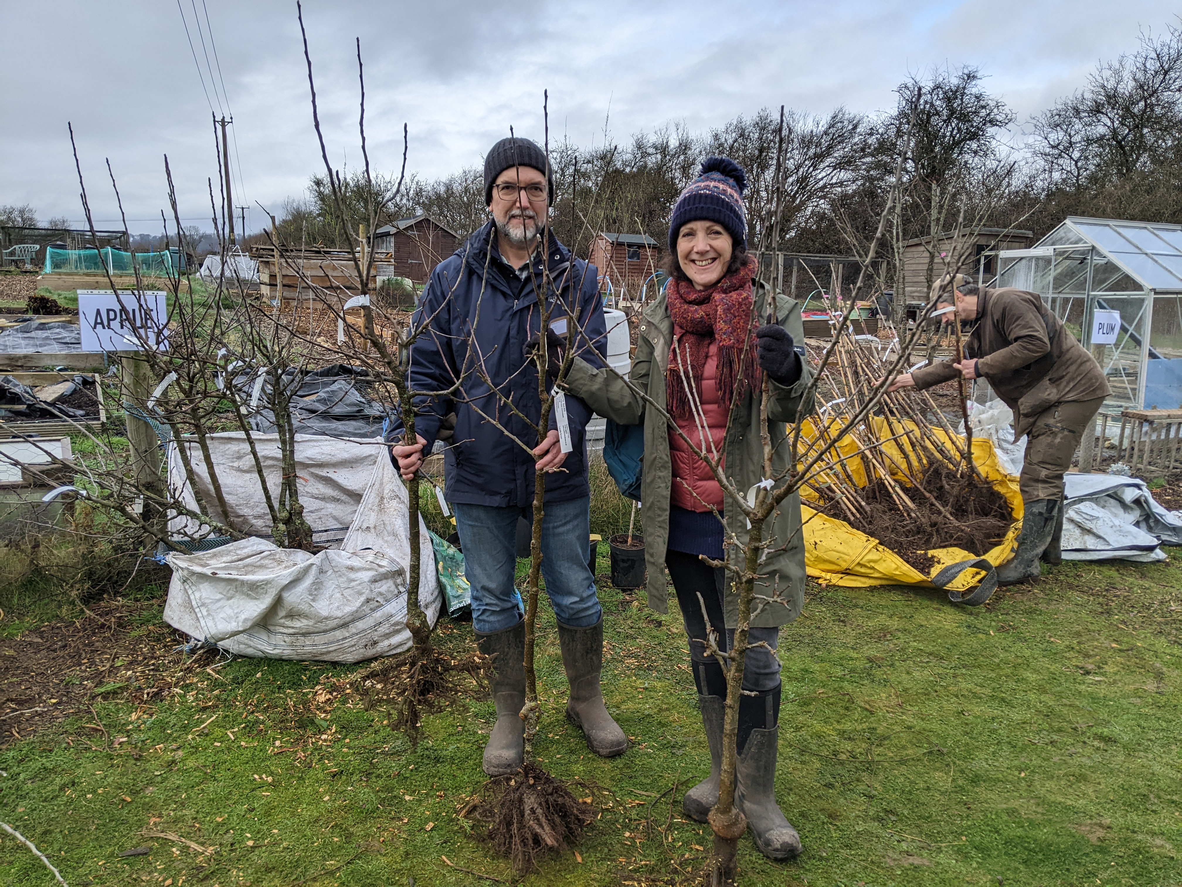 Collecting Trees At Hedge Fest