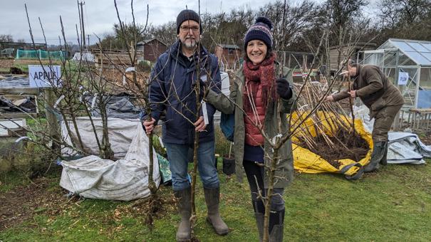 Collecting Trees At Hedge Fest