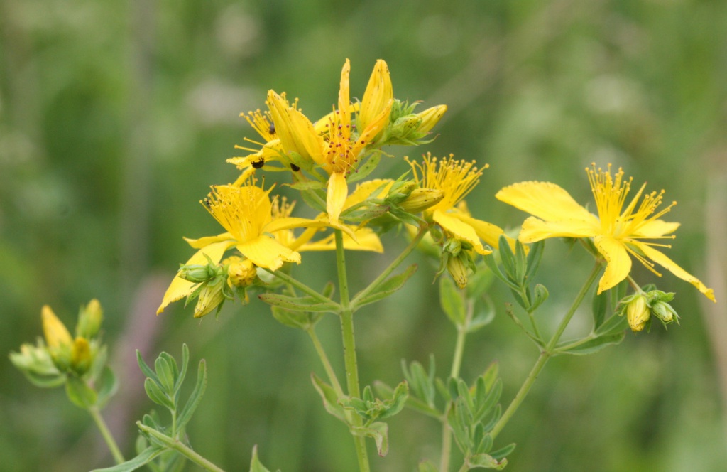 O 19P9nucs4q6o13talrdq21vtabu