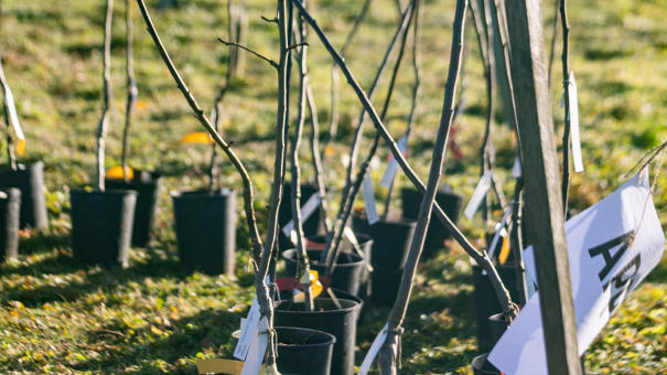 Pecan Tree Festival Tina Knowles Photography 2978