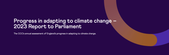 Climate Change Committee and the 'lost decade' for action