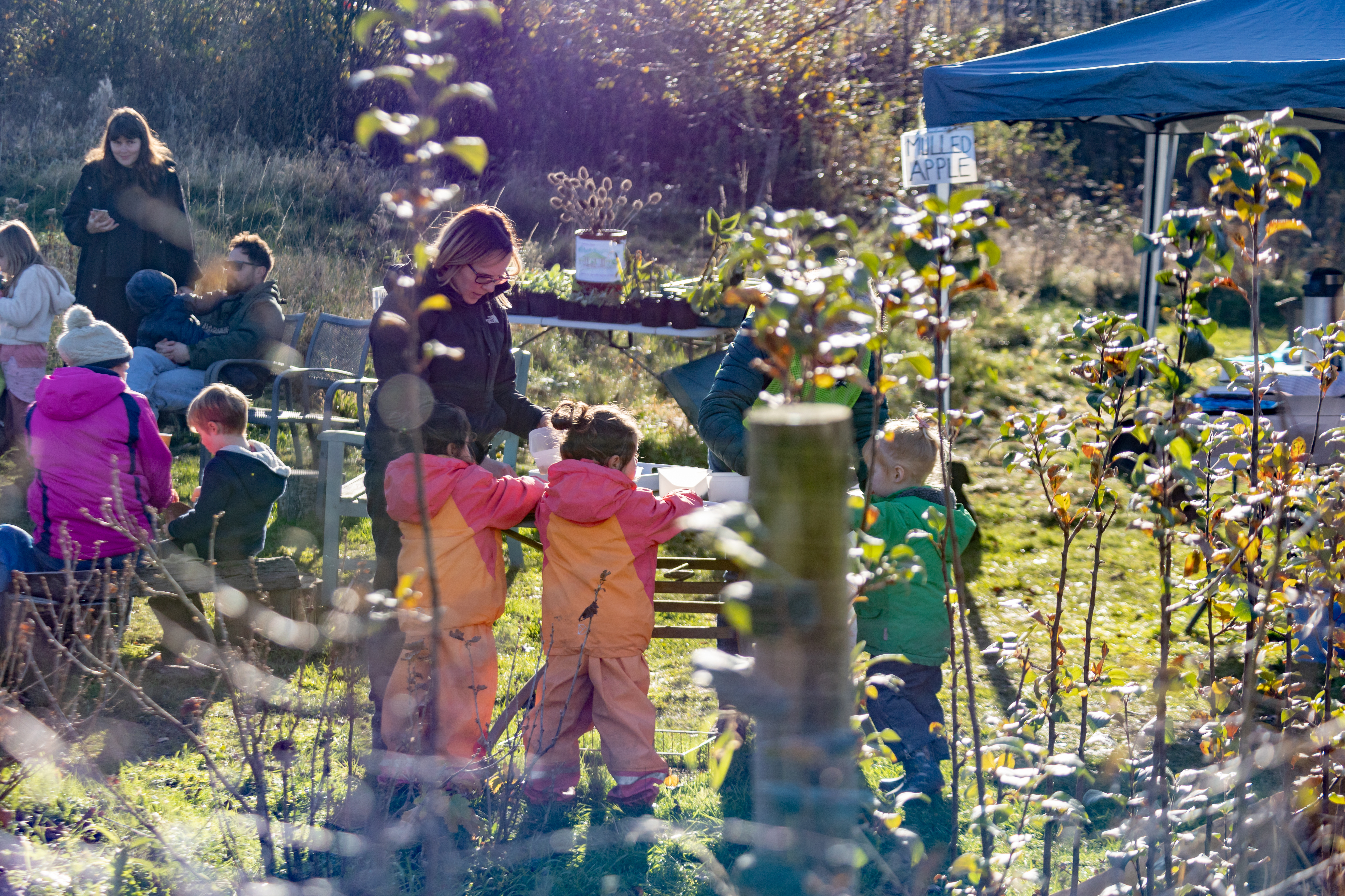 Tree Festival Community Garden Tina Knowles Photography 3262