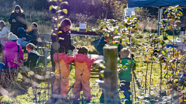 Tree Festival Community Garden Tina Knowles Photography 3262